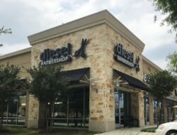 Texas Insurance Exodus  A Crisis Unfolding