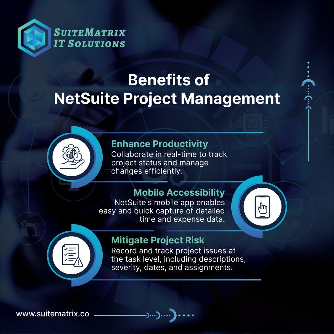 Netsuite project management tool