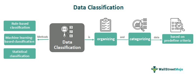 Data classification software