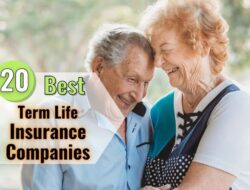 Best Online Term Life Insurance Companies Guide