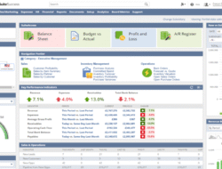 CRM Software NetSuite A Comprehensive Overview