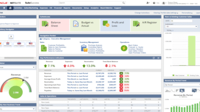 CRM Software NetSuite A Comprehensive Overview