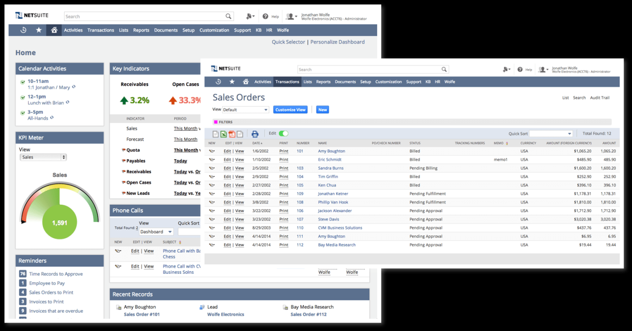 Netsuite for software