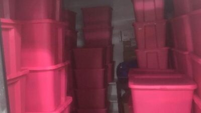 Nyc storage free pickup