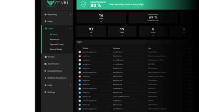 Enterprise Password Storage Software For Secure Access