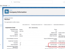 Storage Salesforce Maximizing Efficiency And Growth