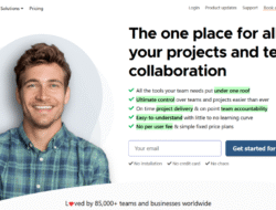 Best Project Management Tool For Multiple Projects