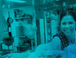 wpengine storage Ensuring Optimal Performance and Scalability