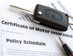 3 insurance company Insights into the Translation World