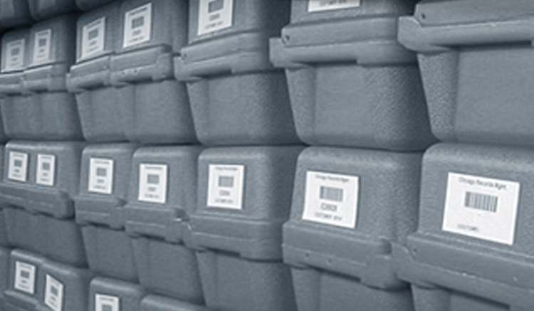 Records management storage facilities