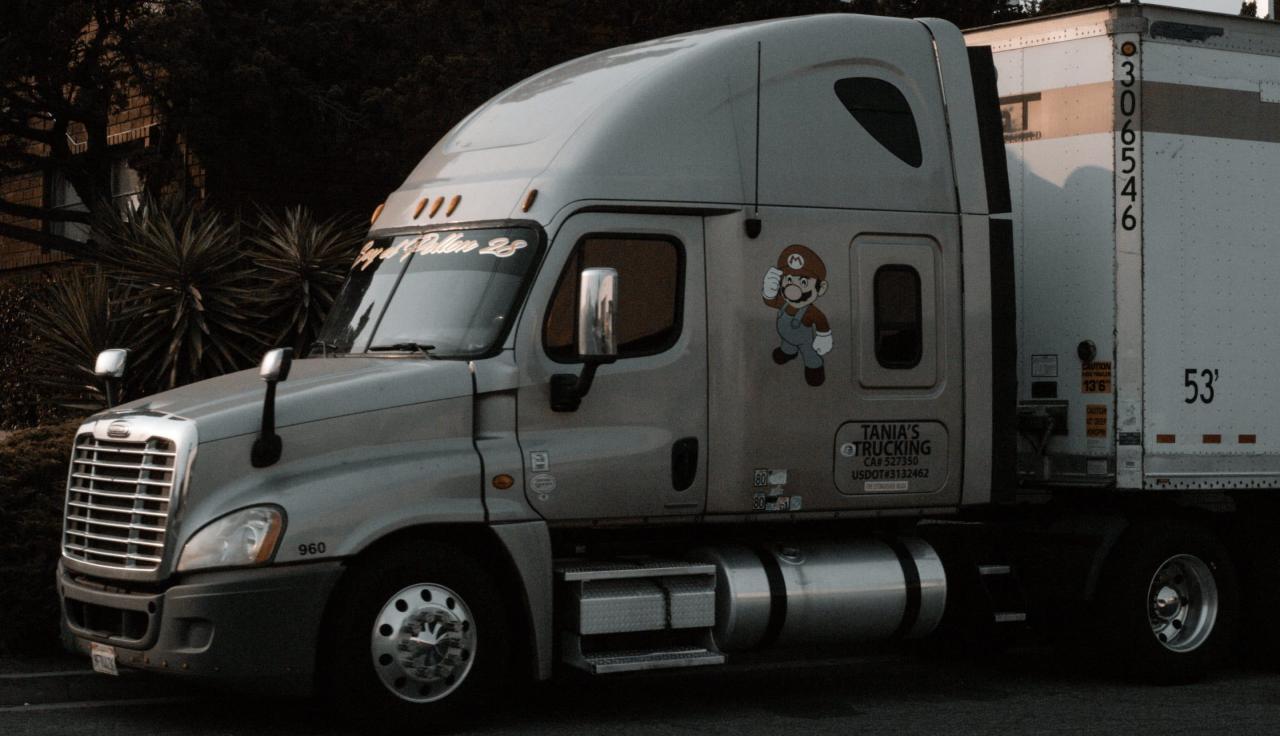 Cross country movers storage