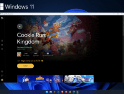 How To Play Games From Google Play On Pc Easily