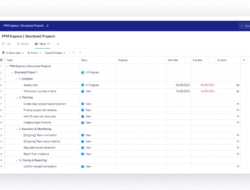 Project management tools for entrepreneurs made easy