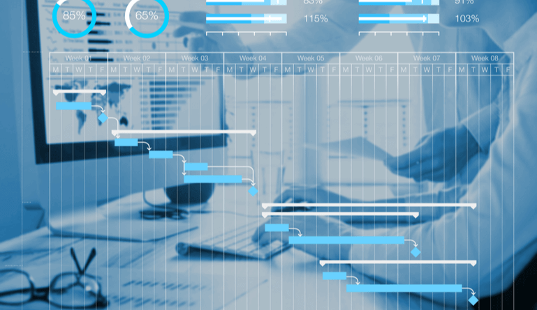 Pmo software