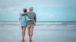 Insurance Policy Renewal Process - Insurance Noon
