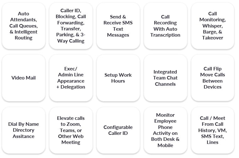 Zoom phone features