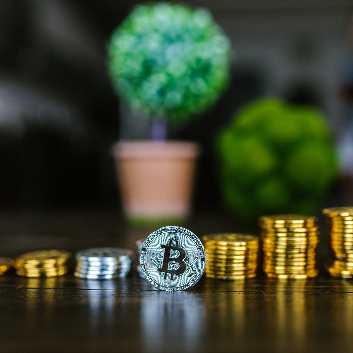Crypto discord alerts Crypto discord alerts