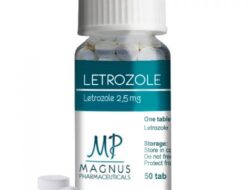 Push Health Letrozole Your Fertility Journey