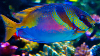 Fish Spot Texas City Your Ultimate Fishing Destination