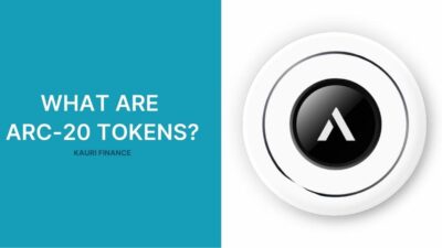 Kraken Crypto Transfer Guide
