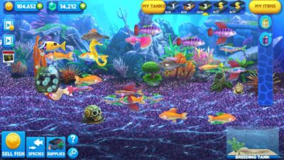 Big fish games online free play