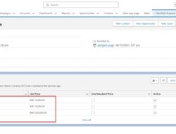 Mastering Price Books in Salesforce