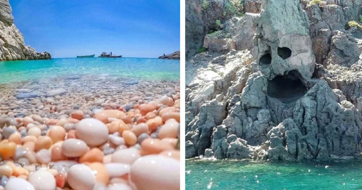 20 Times People Spotted ‘Mildly Interesting’ Things In Nature That Are ...