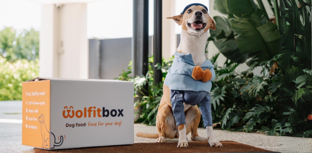 Best Dog Food Delivery Services of 2024