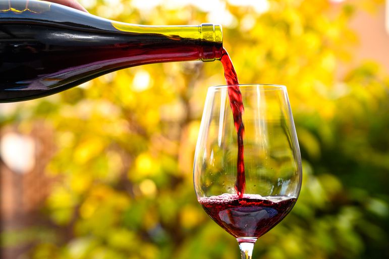 Wine 101 from Wine Grapes to Wine Regions Wine 101 from Wine Grapes to Wine Regions