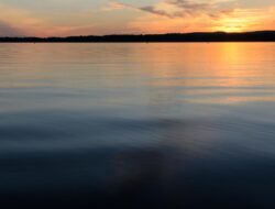 Calm Health vs. Calm A Deep Dive