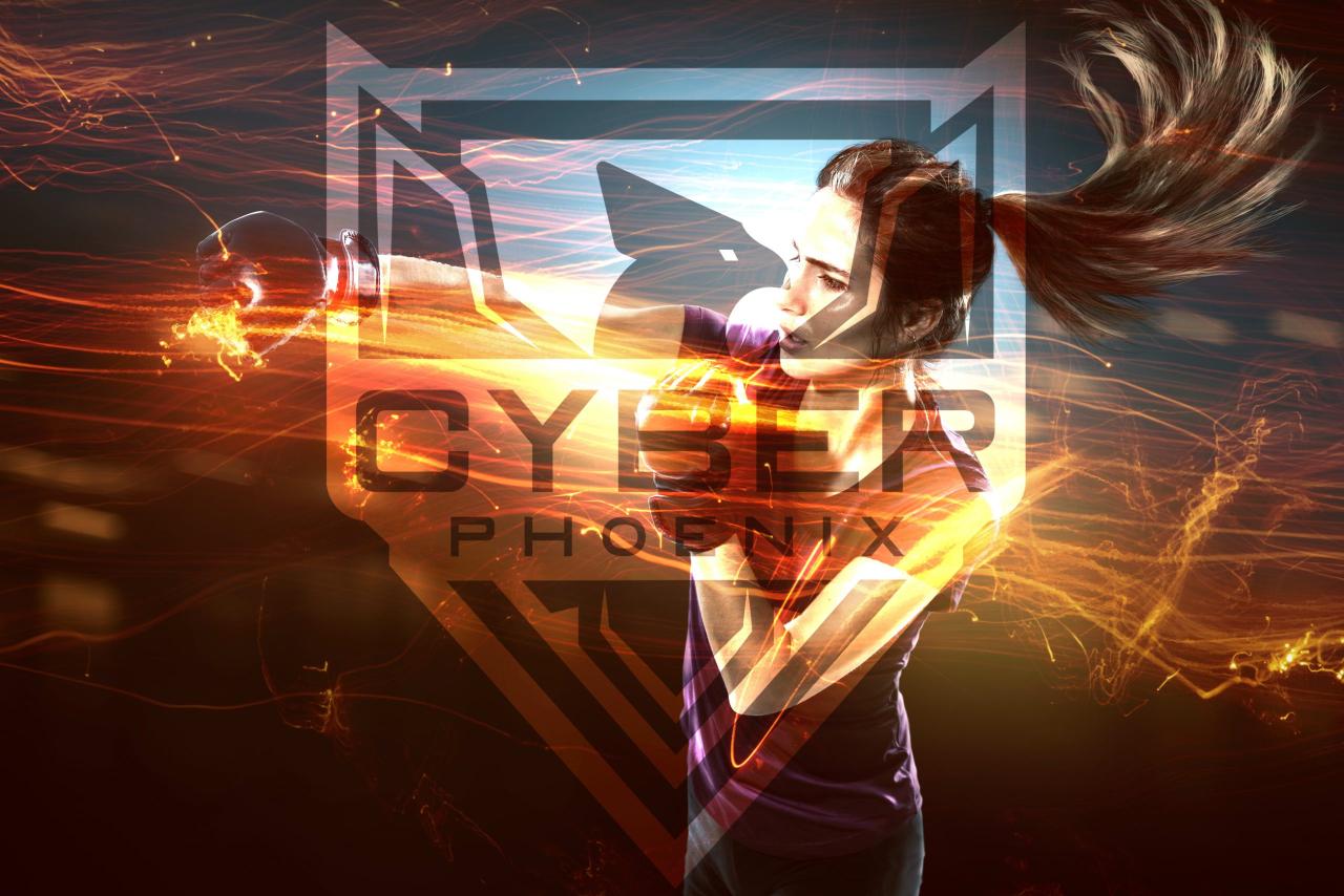 Phoenix cybersecurity