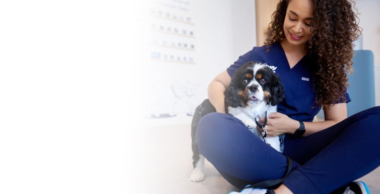Chewy vet care halcyon