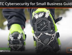 FTC Cybersecurity Protecting Your Digital World
