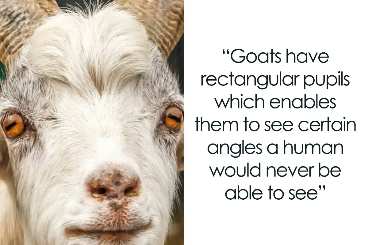 50 Interesting Facts About The World You Probably Didn’t Learn At ...