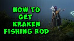 Does kraken have a wallet