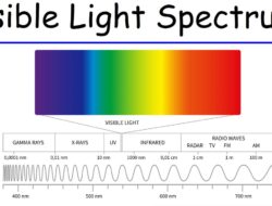 Spectrum Health Milford MA Your Health, Our Priority