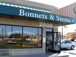 Bonnets Stems & Accessories Elevate Your Style
