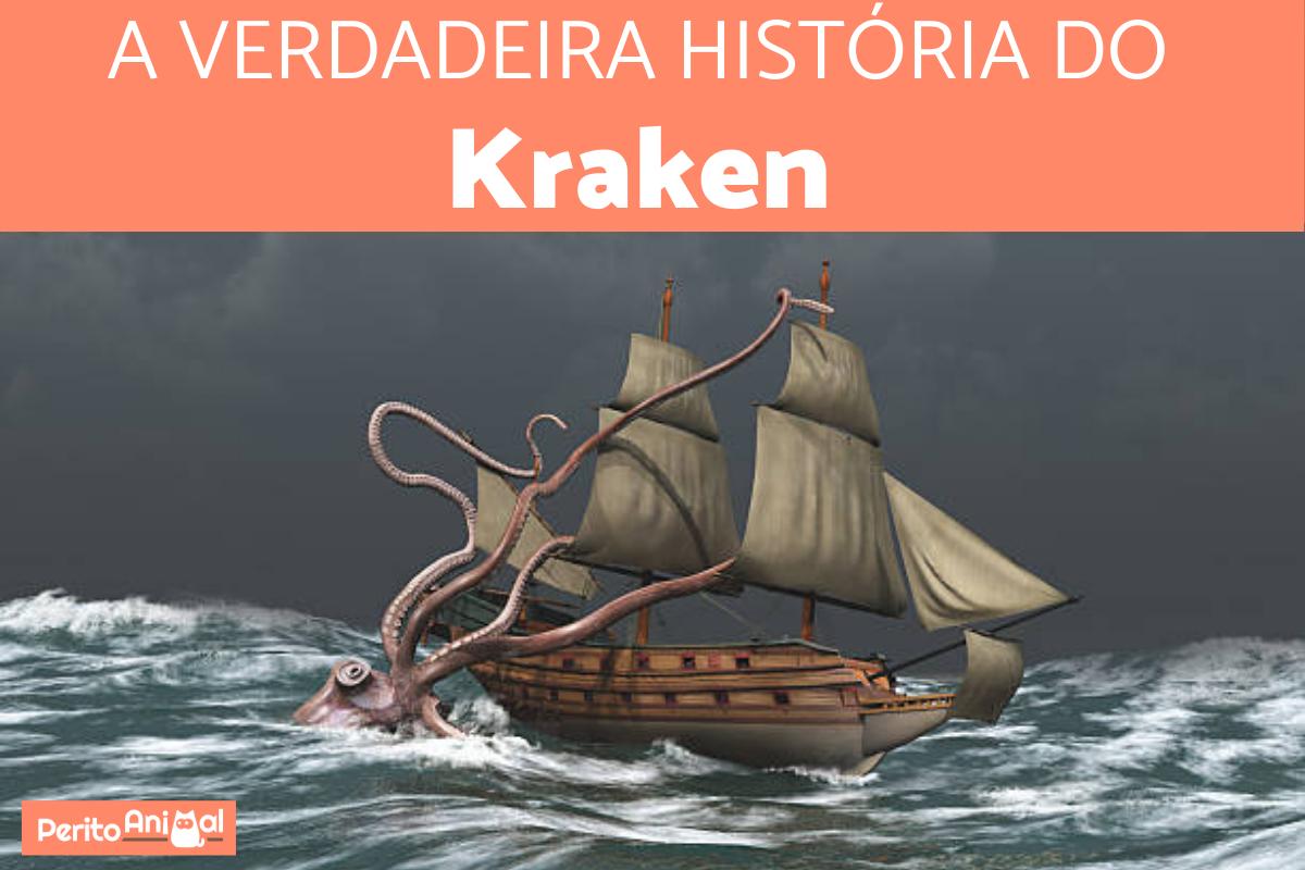 Does kraken have a wallet