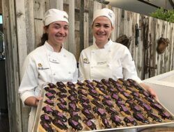 Park City Culinary Institute Cost Unveiling Culinary Excellence