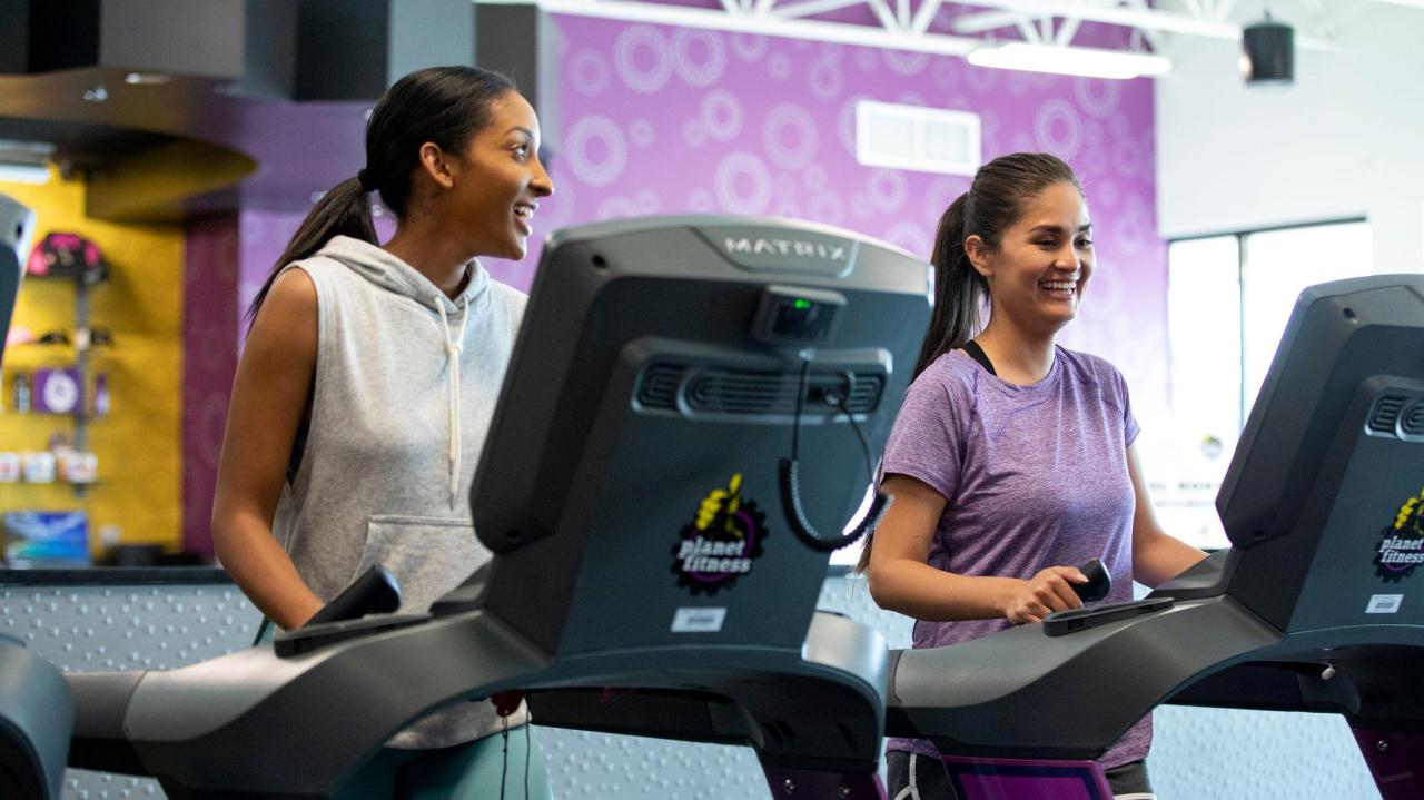 Planet fitness painesville