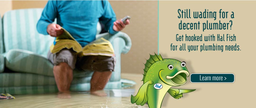 Fish plumbing