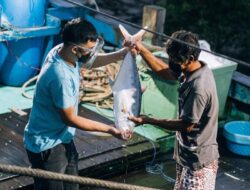 Wild Caught Fish Subscription Fresh, Sustainable Seafood