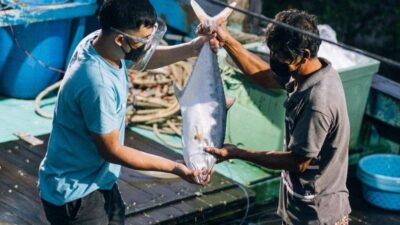 One Fish, Two Fish, Wild Caught or Farmed Fish?