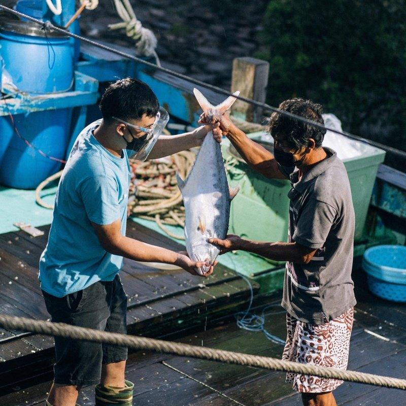 One Fish, Two Fish, Wild Caught or Farmed Fish?